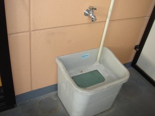 グランドフォレスト その他16