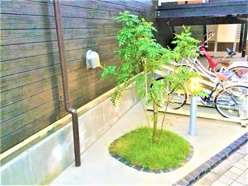 リブリ・エ・トワ その他12