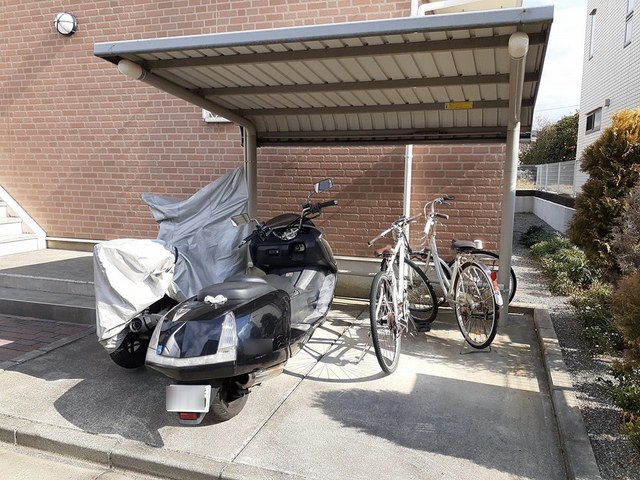 アライブ　Ｂ その他6