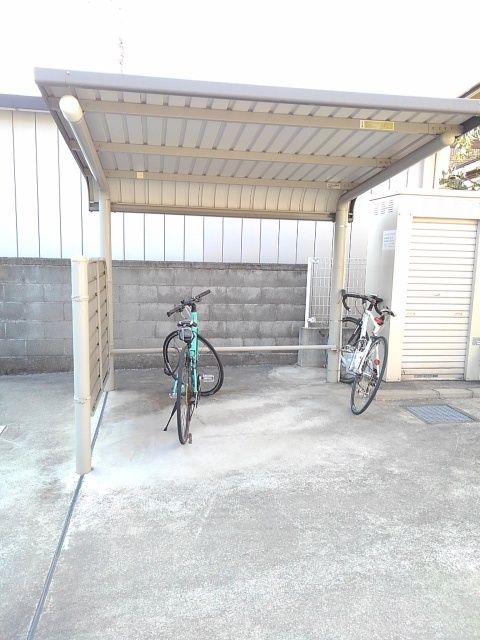 ジューンベリー その他6