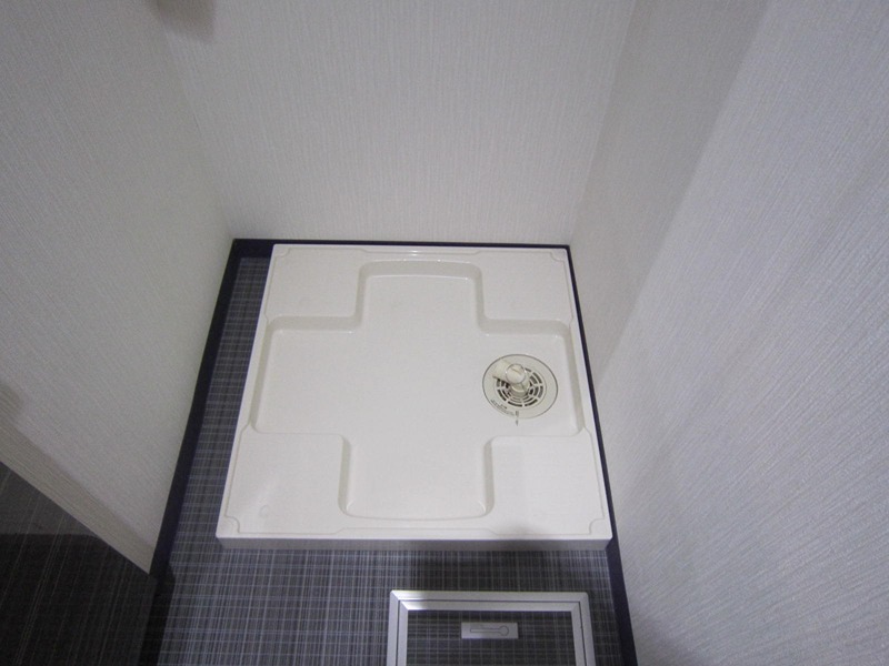 ヴィルドミール その他3