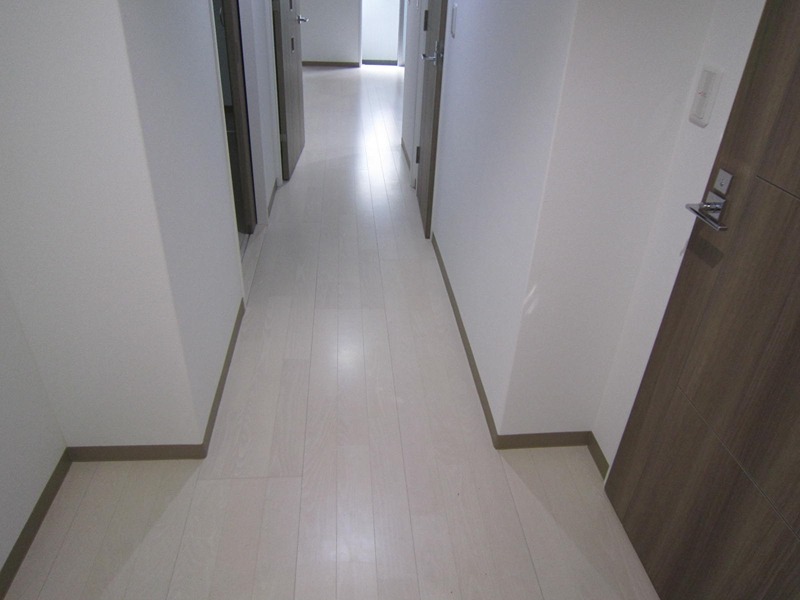 ヴィルドミール 玄関