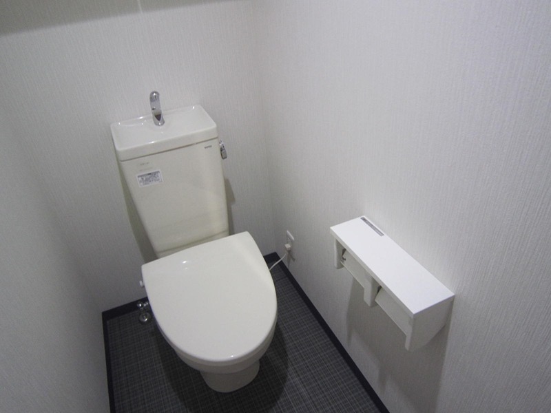 ヴィルドミール その他8