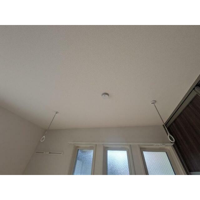 フィレール・ボヌール その他6