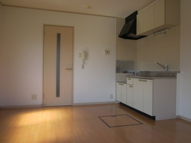 DUPLEX SHINZO Ⅱ キッチン