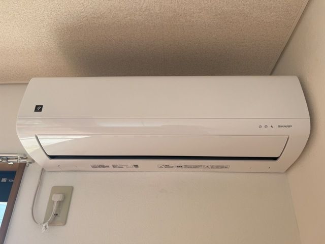 パシフィックテラス その他1