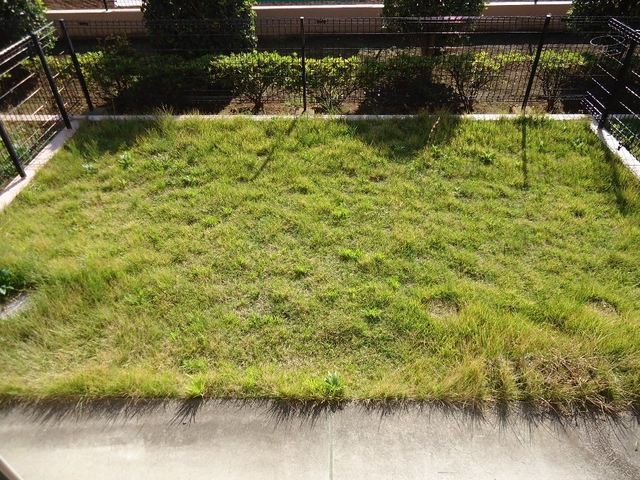 パシフィックテラス その他12