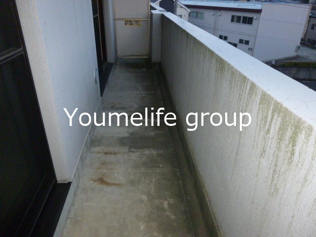 プチフォーレ高森 Ⅱ ベランダ