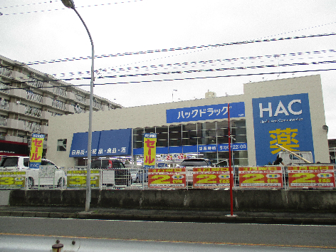 山洋ハイツ 周辺画像5