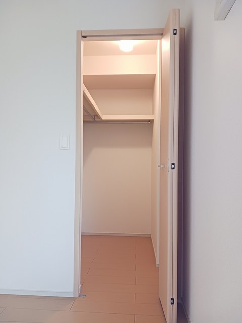 プラシード その他2