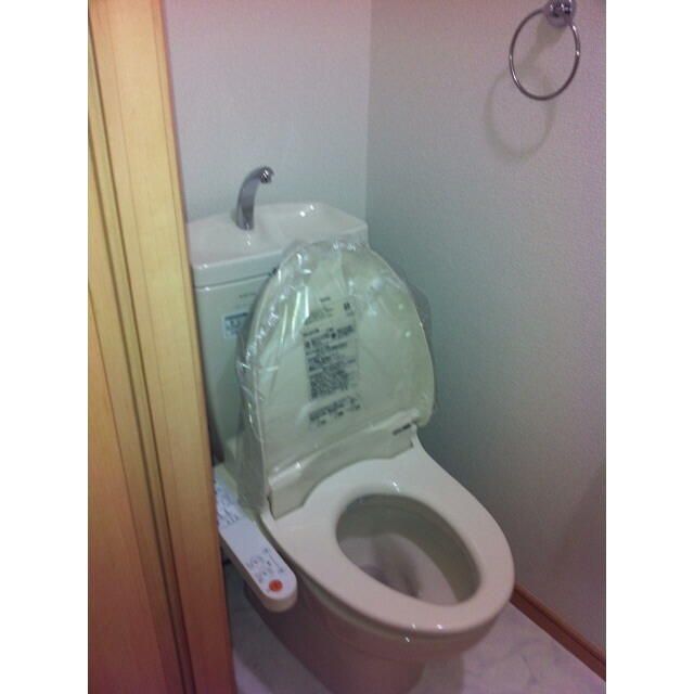 アスピリア　シャテニエ その他2