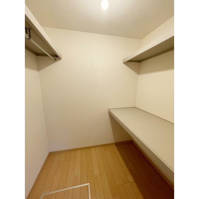 スプリングハーモニー その他1