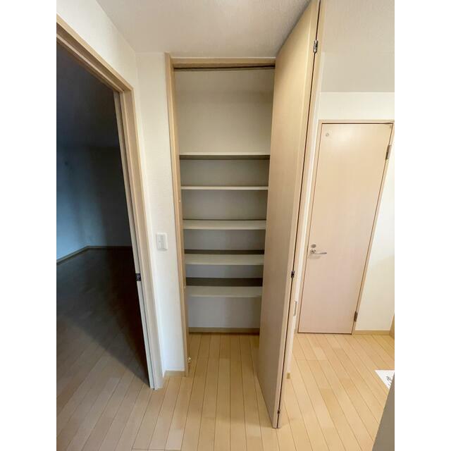 スプリングハーモニー その他4