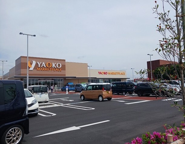 カノープス その他外観4