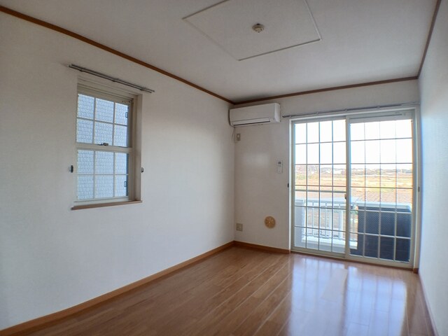 ヴィオラＡ その他1