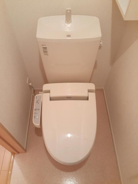 パールグレイスⅡ その他4