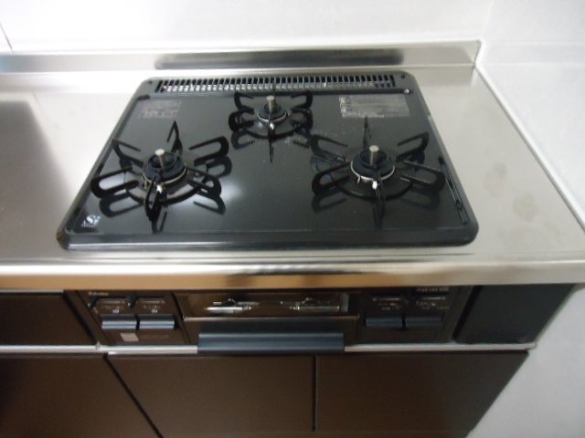 グリーンヴィレッジ その他7