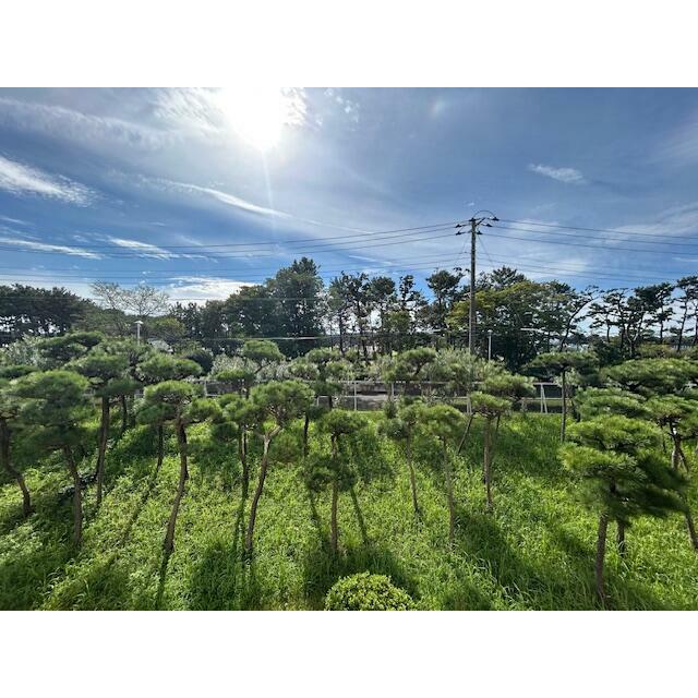 辻堂団地３－５棟 その他外観1