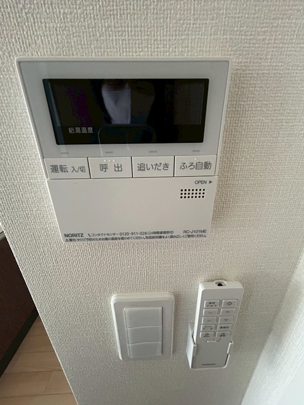 カーロ　オルテンシア　caroortensia その他1