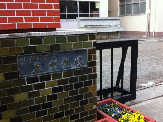 カーロ　オルテンシア　caroortensia 周辺画像4