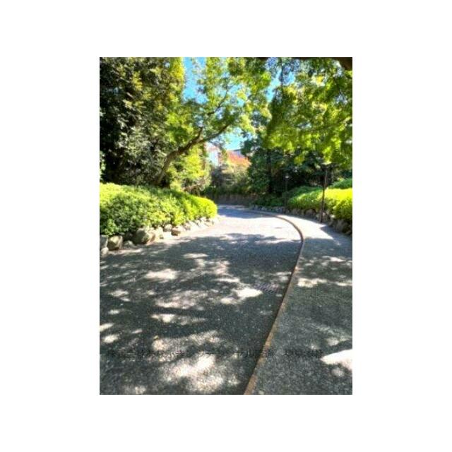 エクレール大磯 その他8