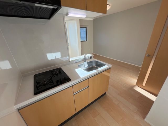 ヴェルデュールⅢ その他5