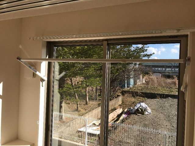 カーロ　オルテンシア　caroortensia その他6