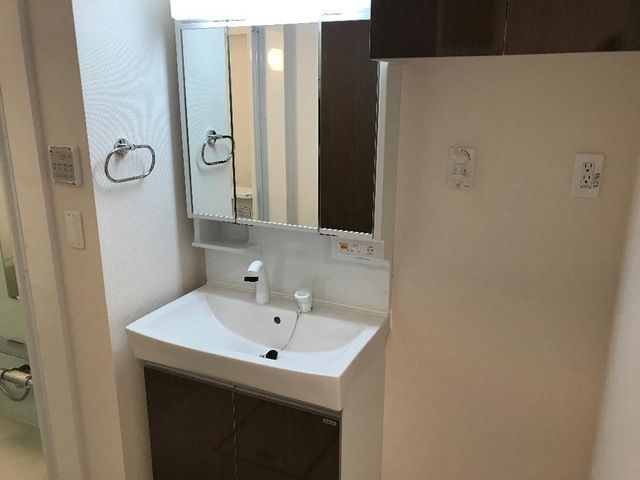 カーロ　オルテンシア　caroortensia その他5