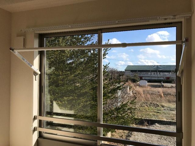 カーロ　オルテンシア　caroortensia その他3