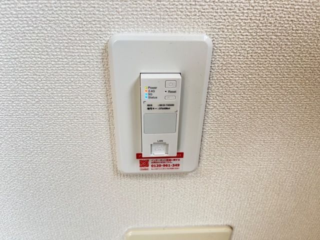 カーロ　オルテンシア　caroortensia その他5