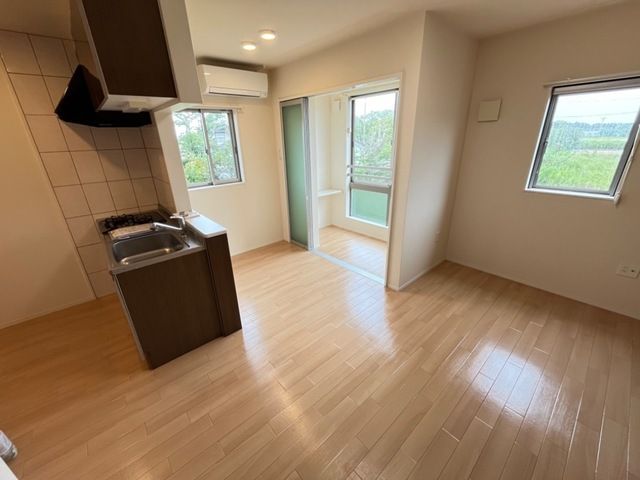 カーロ　オルテンシア　caroortensia その他7