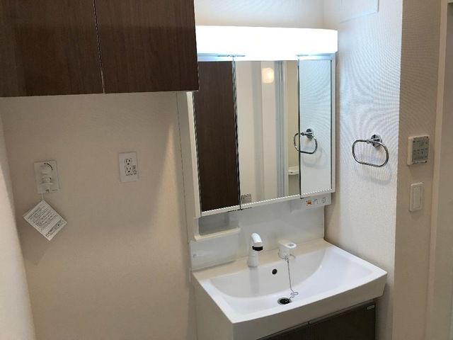 カーロ　オルテンシア　caroortensia その他1