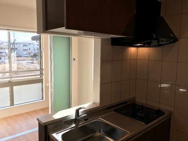 カーロ　オルテンシア　caroortensia その他12