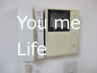 フローラルパレス元町 その他3