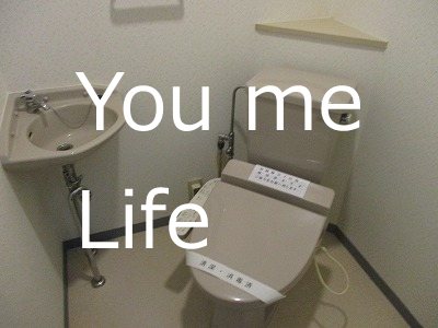 フローラルパレス元町 その他4