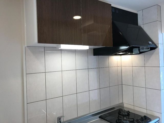 カーロ　オルテンシア　caroortensia その他12