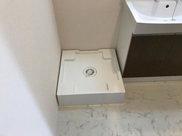 カーロ　オルテンシア　caroortensia その他5