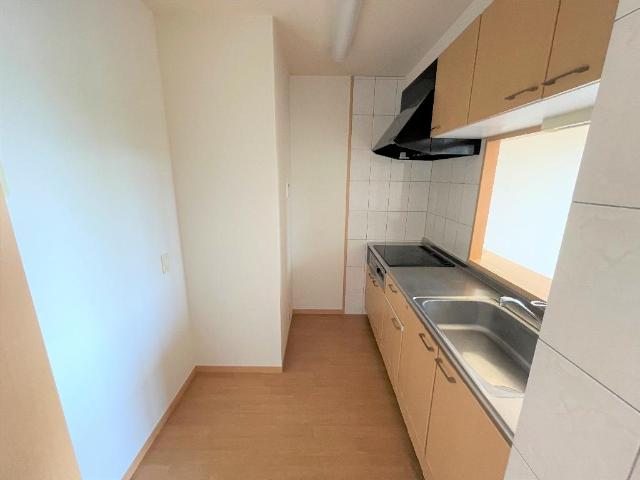 グリーンリーフ その他9