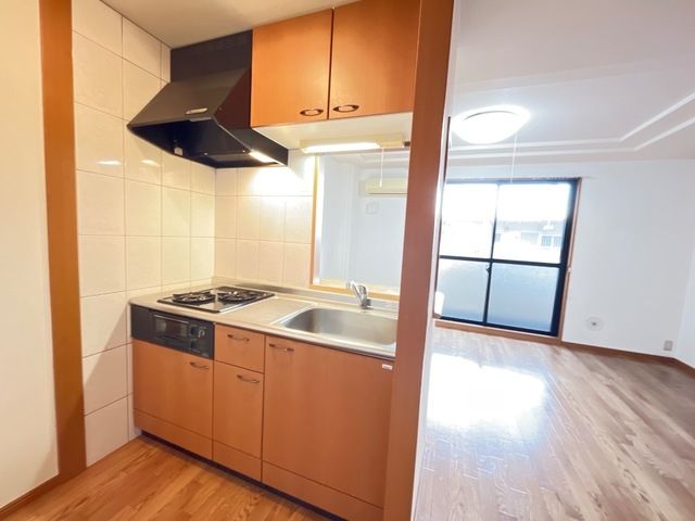 エルマルム その他9