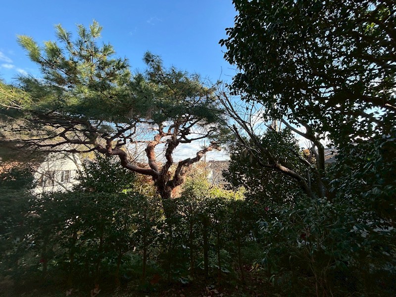 セレーノ鎌倉長谷 その他6