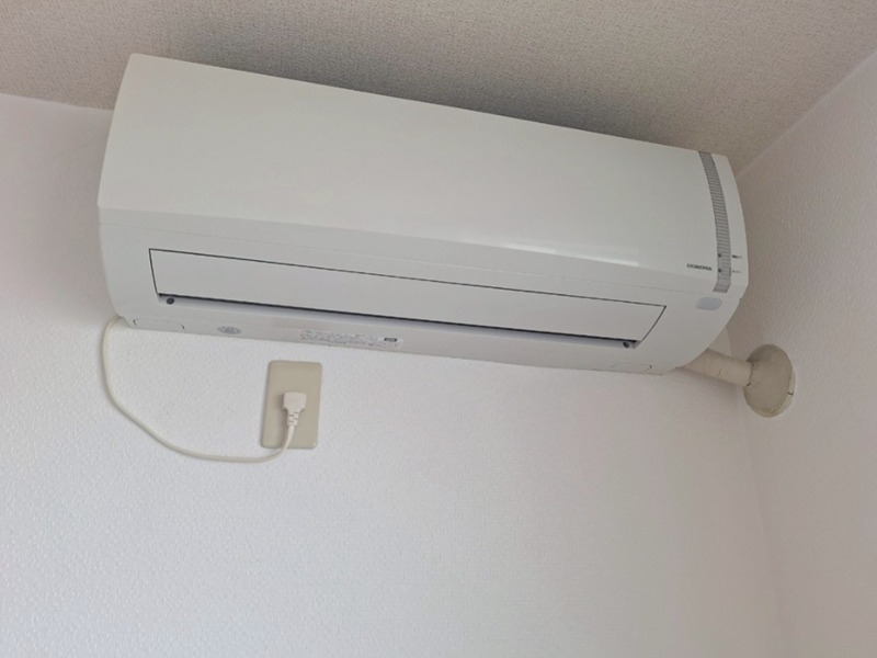 コスモス2 その他2