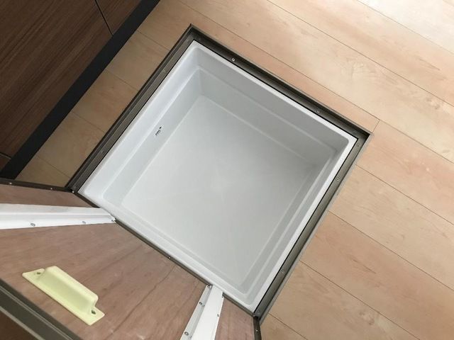 Ｐｌｕｍｅｒｉａ（プルメリア） その他2