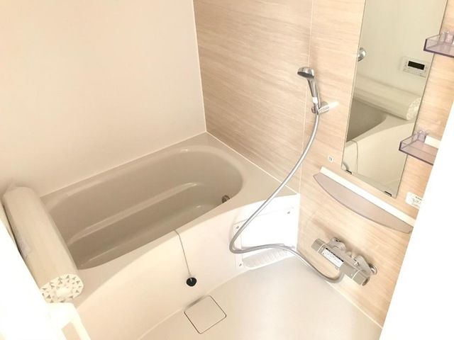 Ｐｌｕｍｅｒｉａ（プルメリア） その他5