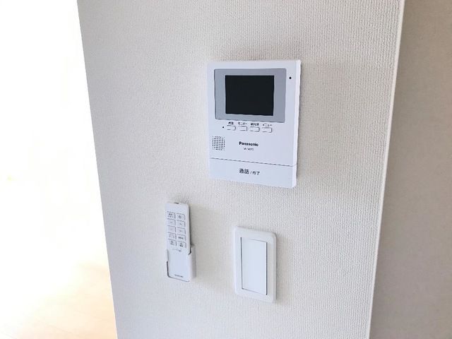 Ｐｌｕｍｅｒｉａ（プルメリア） その他外観1