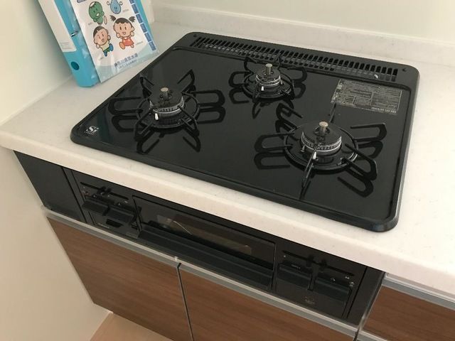 Ｐｌｕｍｅｒｉａ（プルメリア） その他11