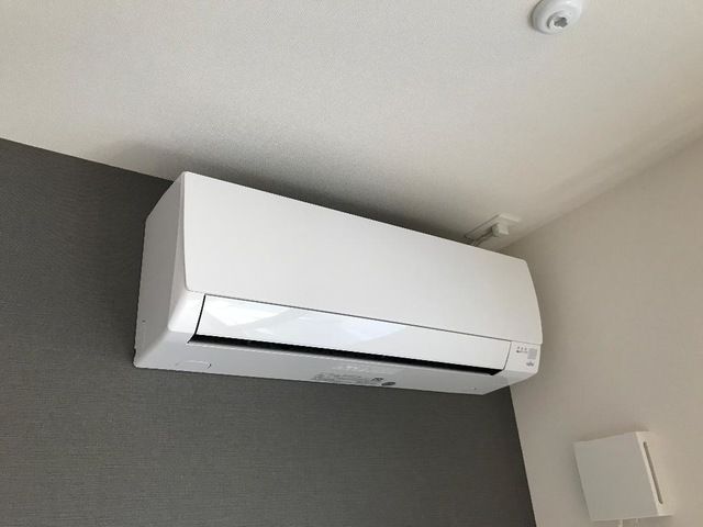 Ｐｌｕｍｅｒｉａ（プルメリア） その他12