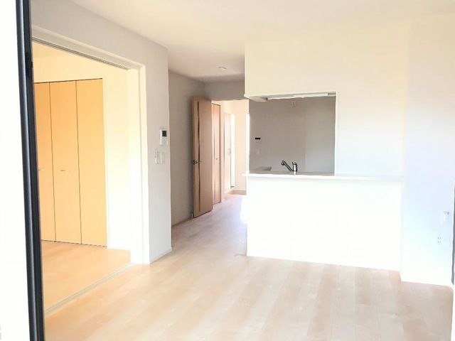 Ｐｌｕｍｅｒｉａ（プルメリア） その他13