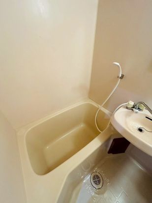 ドルフ鶴巻No.14 風呂画像