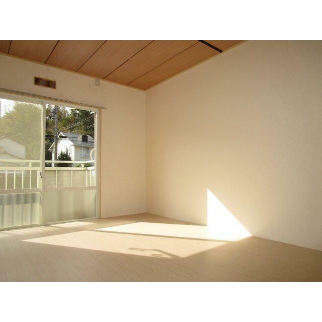 ホワイトクレイン その他12