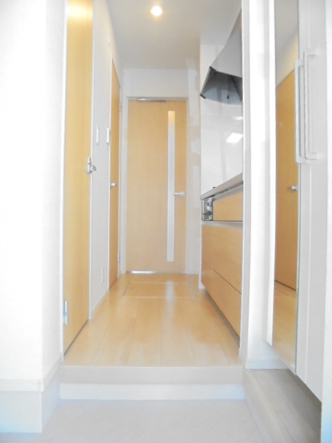 ラフィーネⅢ 玄関